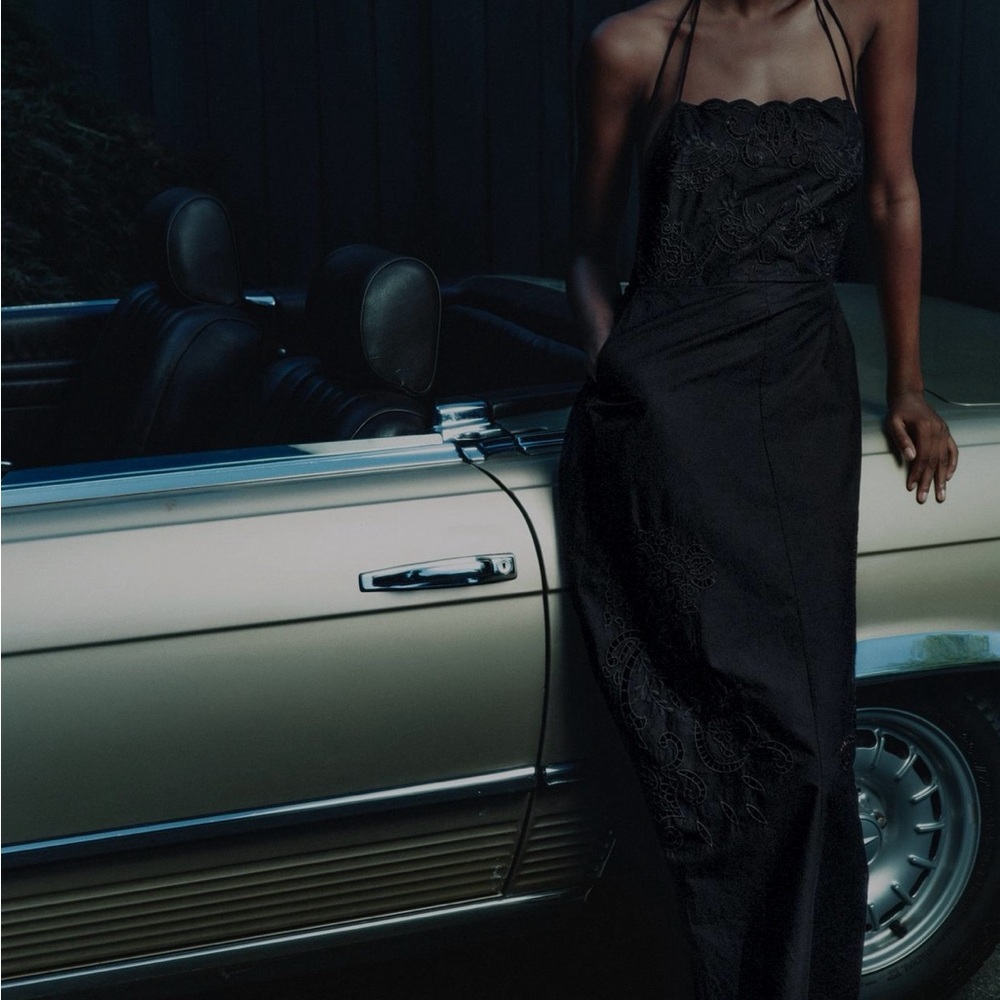 Zara Embroidered Dress